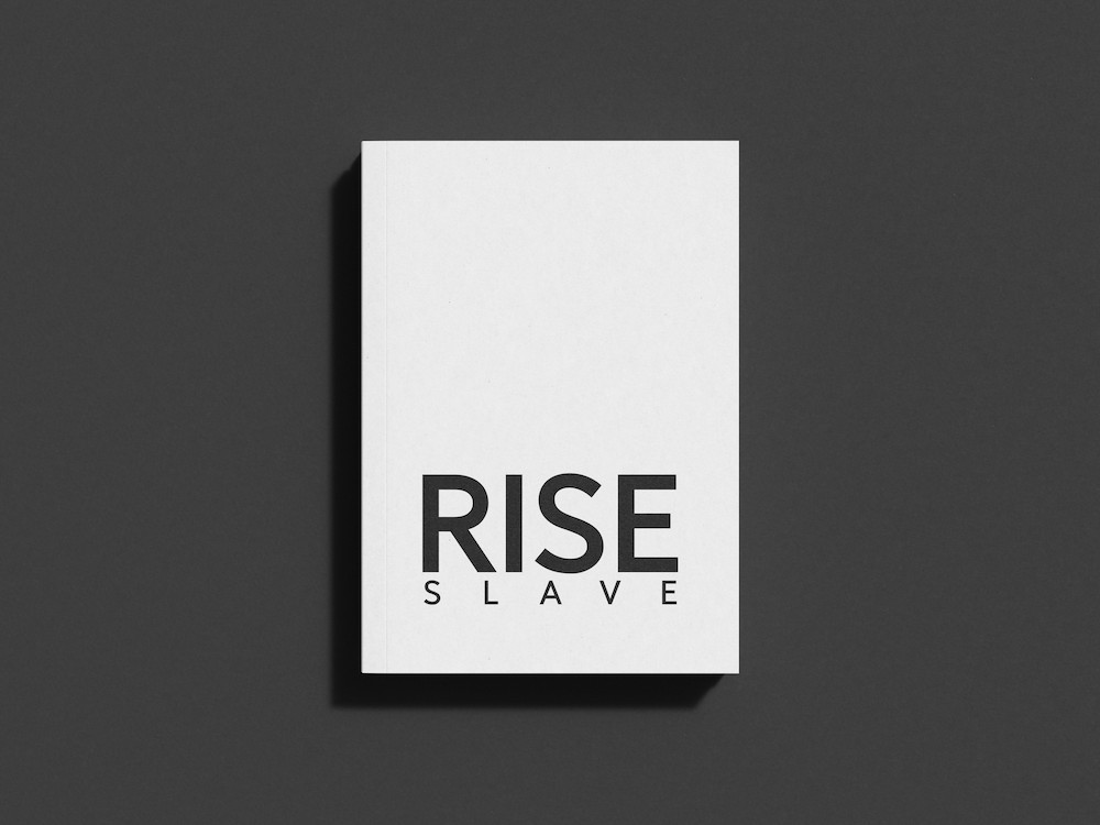 Rise Slave Book (Paperback)